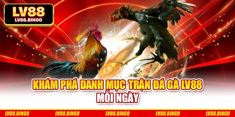 Khám phá danh mục trận đá gà LV88 mỗi ngày Khám phá danh mục trận đá gà LV88 mỗi ngày
